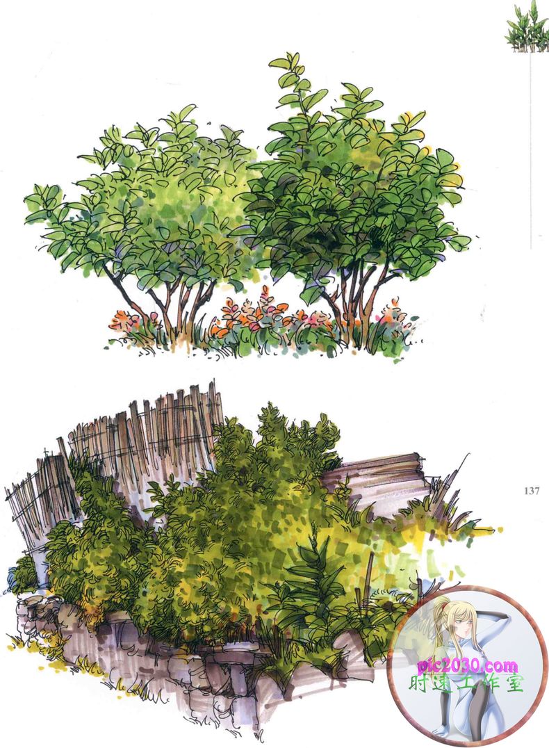 景观手绘植物380张园林景观植物手绘设计速写景钢笔画马克笔临